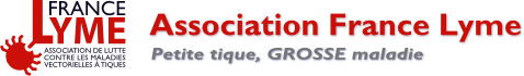 Logo long